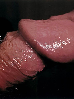 photo gallery id 4516