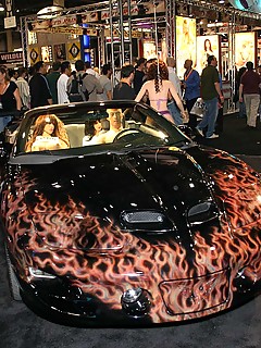 photo gallery id 4712