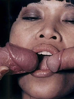 photo gallery id 4525