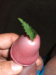 photo gallery id 2314