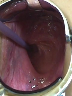 photo gallery id 3568