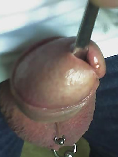 photo gallery id 2263