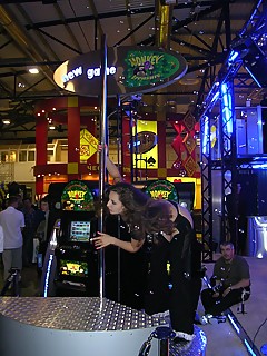 photo gallery id 4656