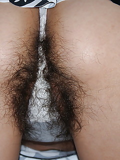 photo gallery id 6641