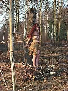 photo gallery id 611