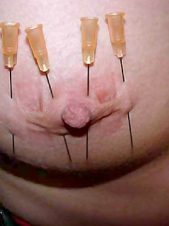 photo gallery id 238