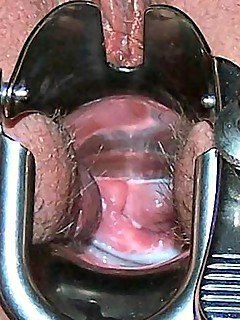 photo gallery id 143