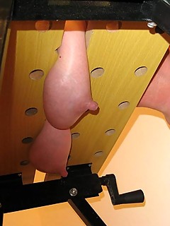 photo gallery id 138