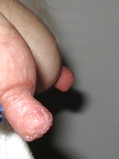 photo gallery id 10868